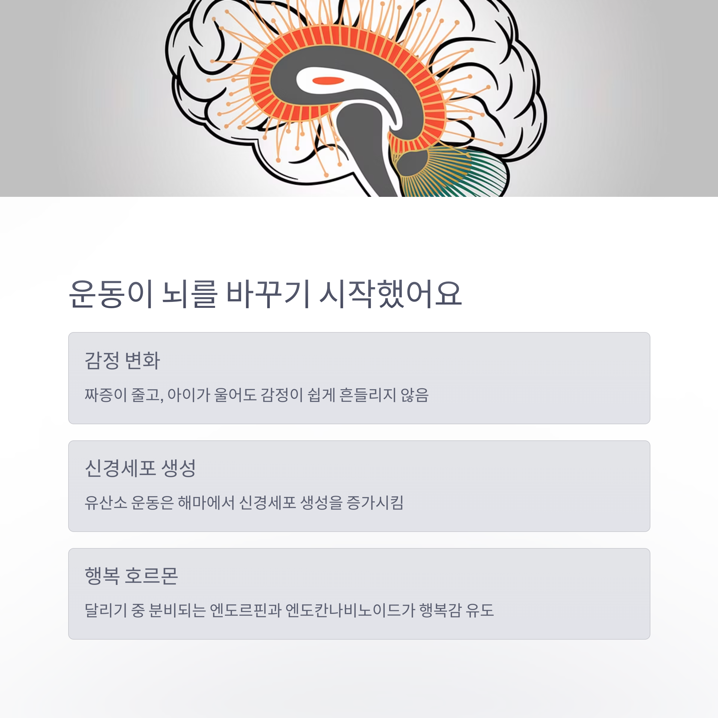 육아 스트레스 – 운동이 바꾼 아빠의 뇌와 감정