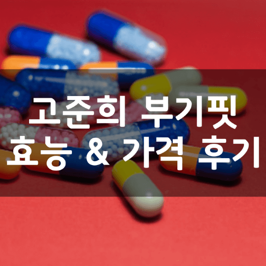 고준희-부기핏-뜻-성분-효능-효과-복용법-가격-내돈내산-후기-알아보기