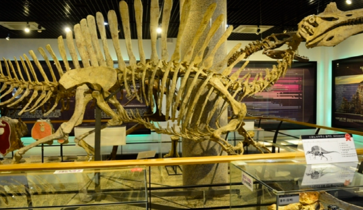 안면도 쥬라기박물관