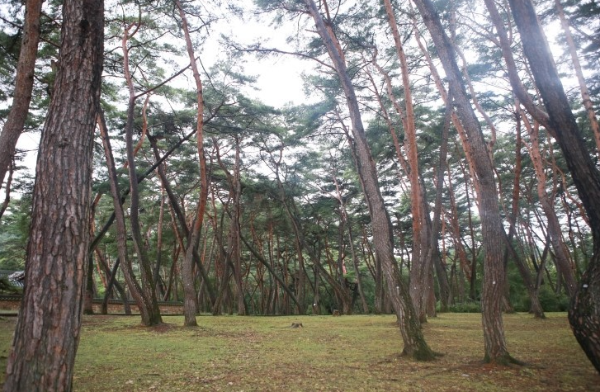 봄에 떠나기 좋은 국내 여행