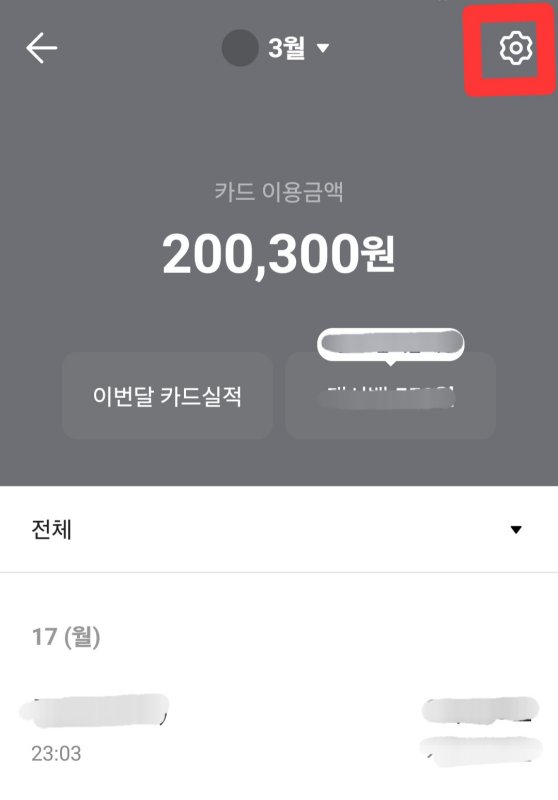 카카오체크카드 분실신고방법 4