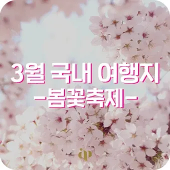 봄꽃 여행지 베스트10 벚꽃 유채 튤립 명소와 걷기 좋은 코스_11