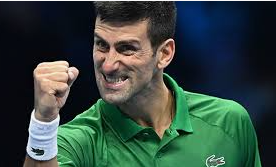 조코비치에 관한 사진