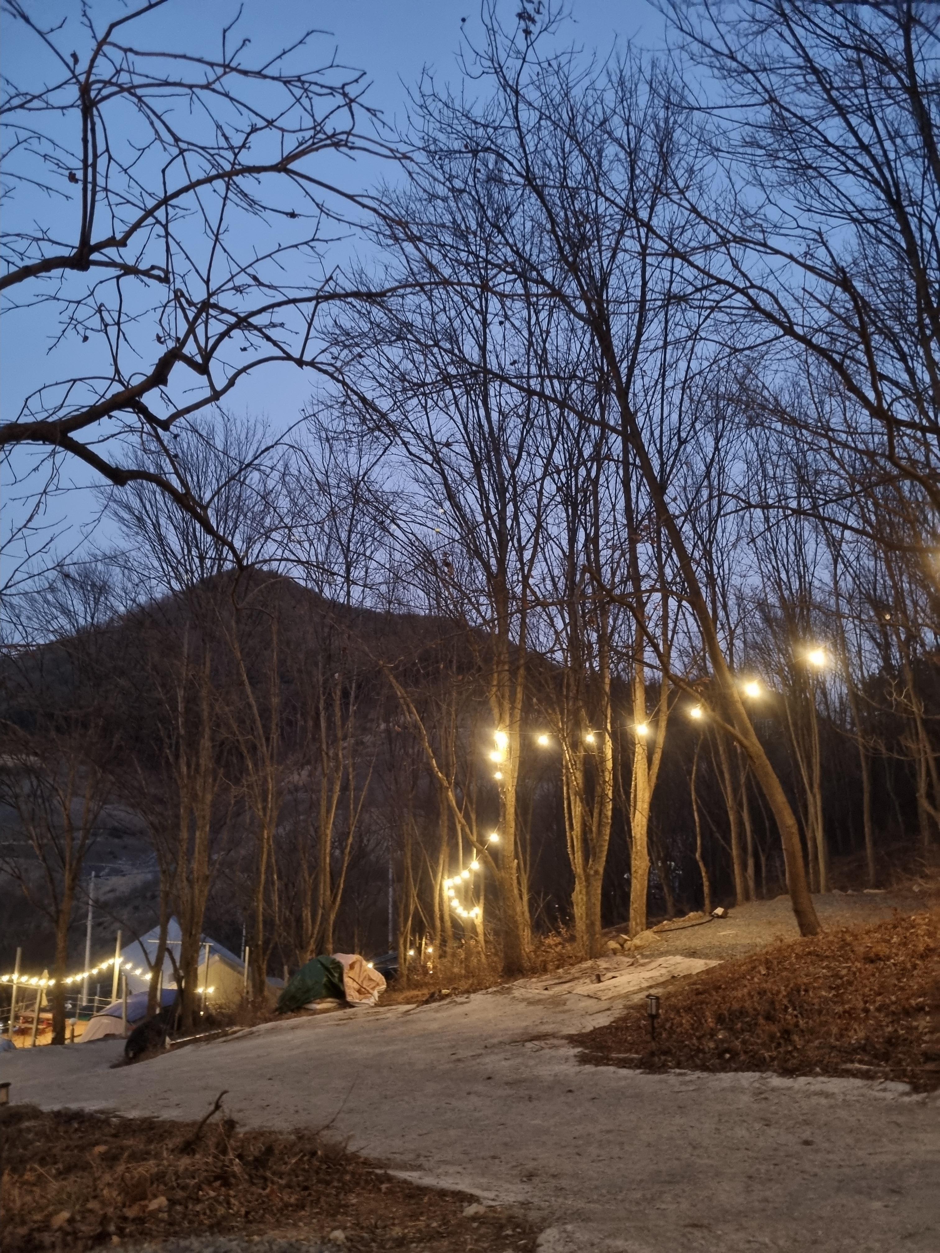 캠핑홀릭 캠핑장