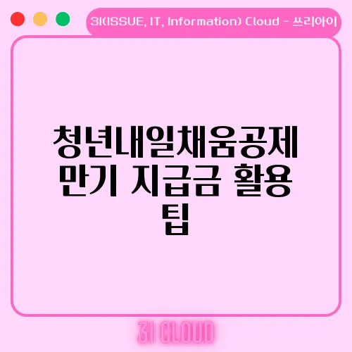 청년내일채움공제 만기 지급금 활용 팁
