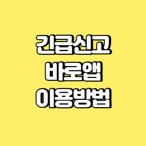 긴급신고 바로앱 이용방법 썸네일