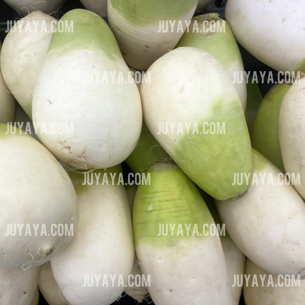 둥글고 통통한 무 여러 개가 쌓여 있는 모습&amp;#44; 상단의 연한 녹생과 하얀 뿌리가 잘 드러남.