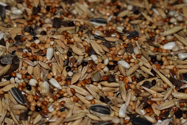 고지혈증에 좋은음식