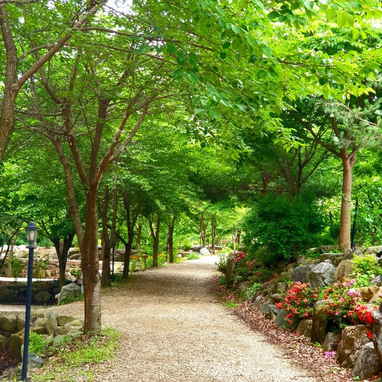 문경 히든벨리오토캠핑장 소개