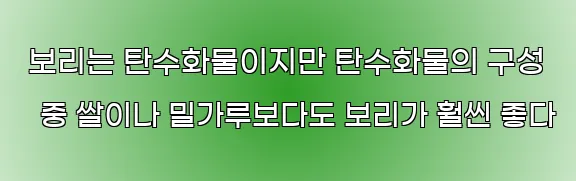  보리는 탄수화물이지만 탄수화물의 구성 중 쌀이나 밀가루보다도 보리가 훨씬 좋다