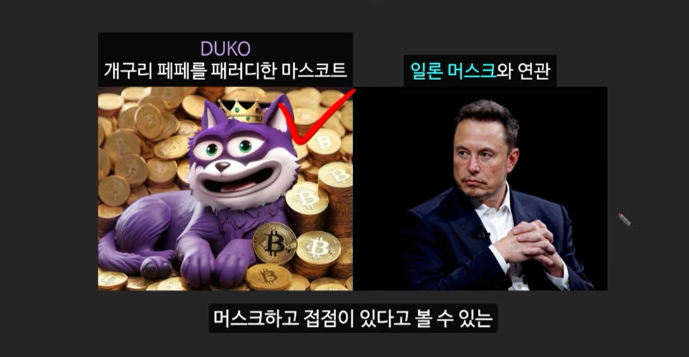 급등할 솔라나 밈코인 캣인어독스월드(MEW), 도지코인, 플로키, 벤도그, 마더, 그레이머, 워젝, 네버, 두코, 봉크