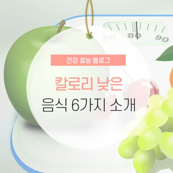 칼로리 낮은 음식 6가지 소개 콘텐츠
