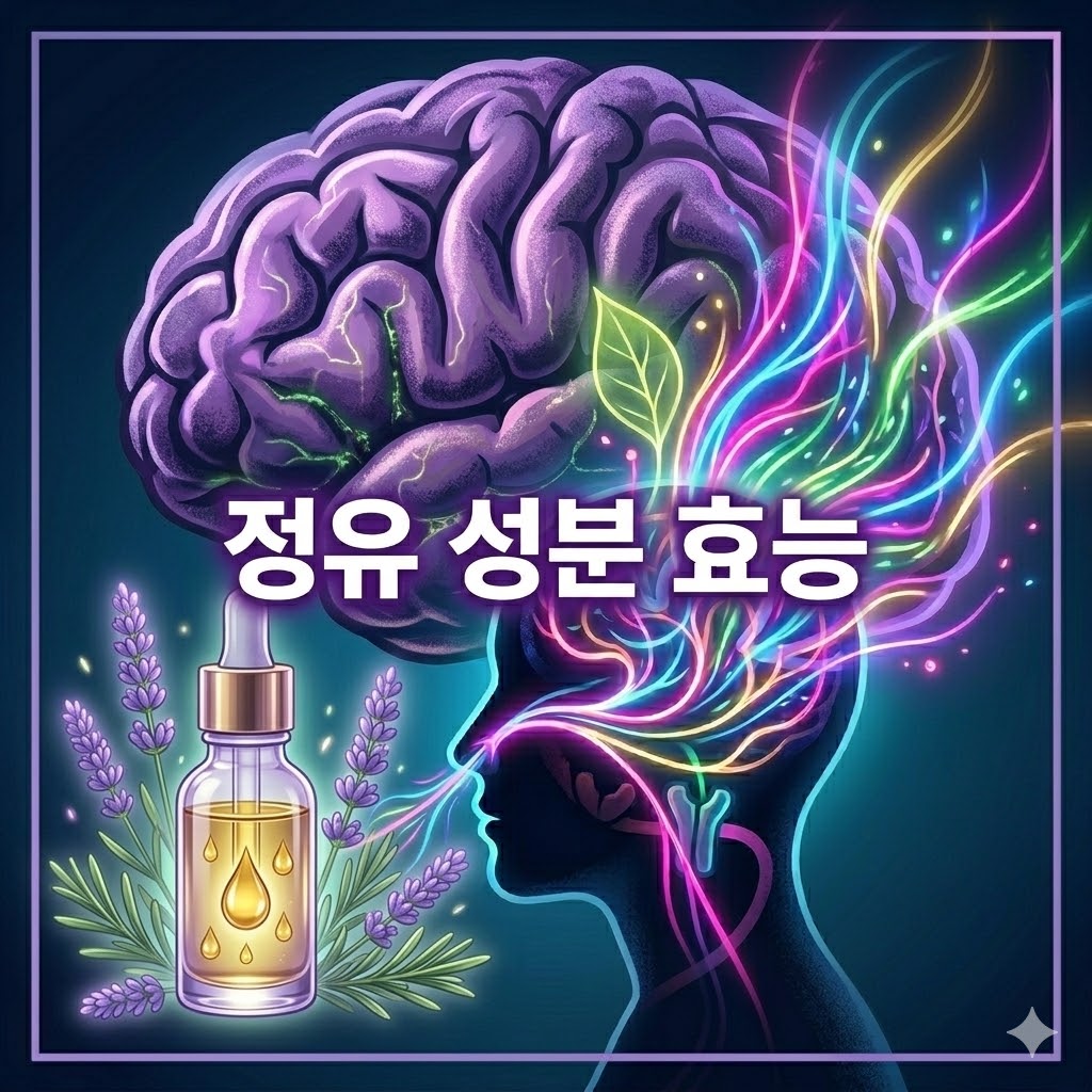 정유 성분이 감정 회복 속도를 앞당기는 메커니즘