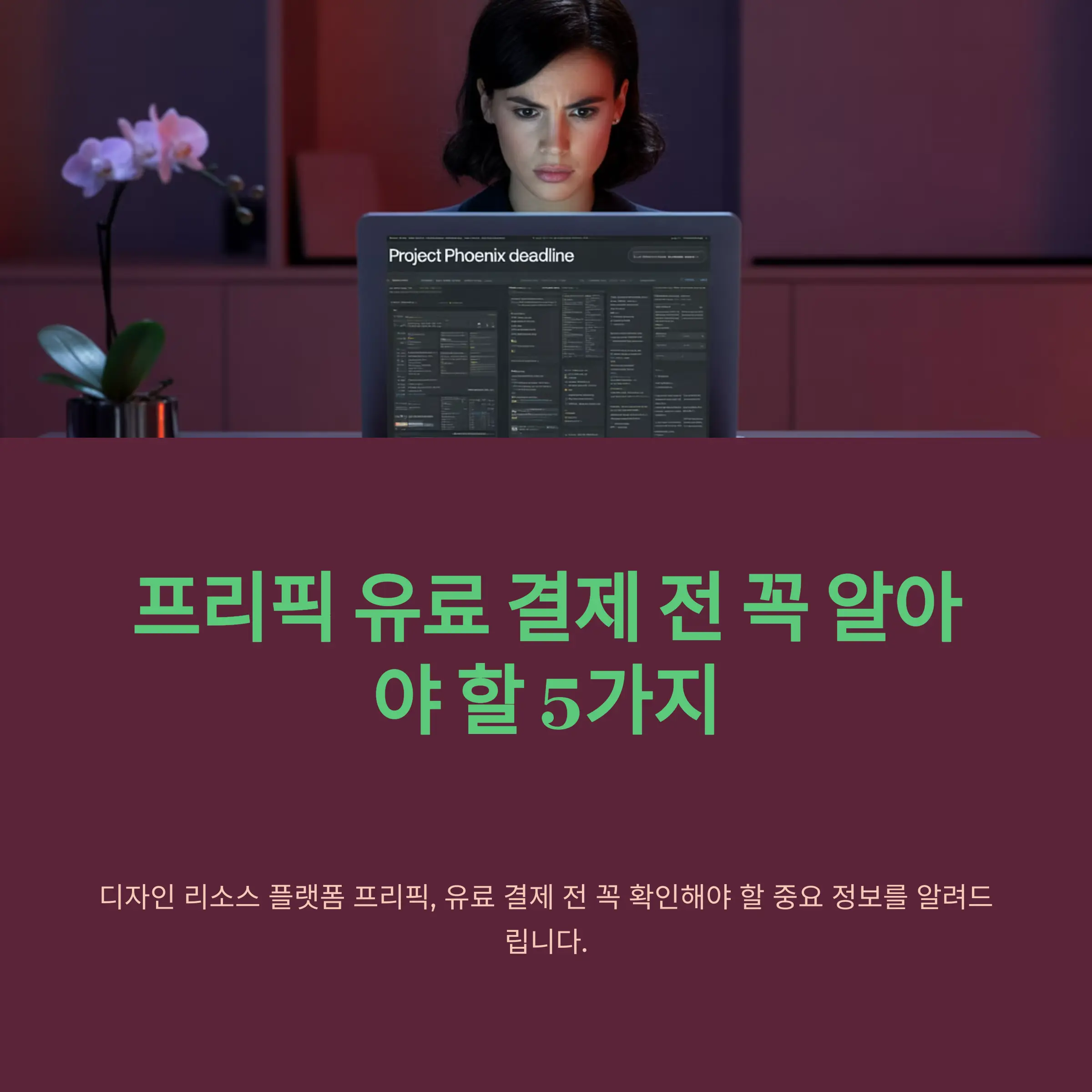 프리픽 유료 결제 전 꼭 알아야 할 5가지