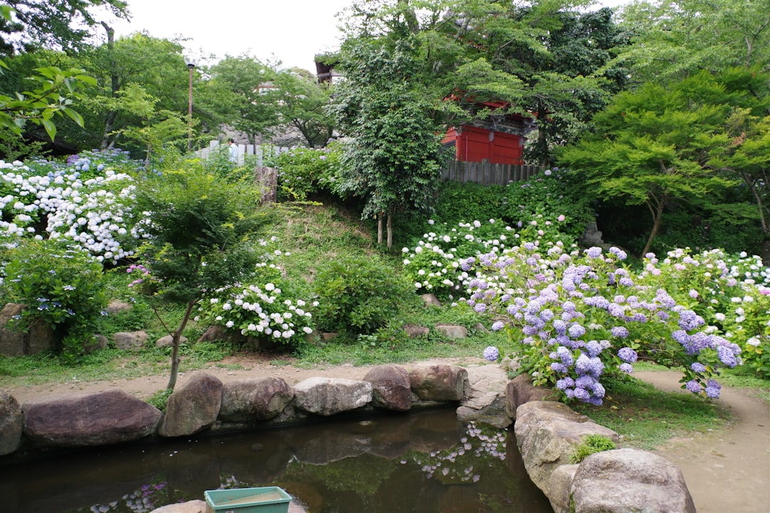 Sayo Garden