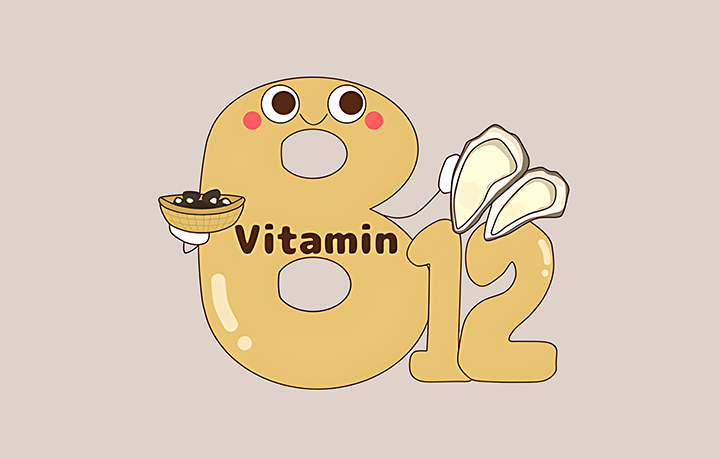 비타민-B12가-함유된-음식