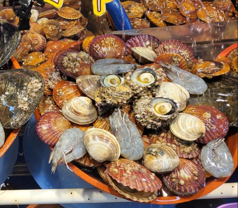 6시내고향 삼천포용궁시장 조개세트 썸네일