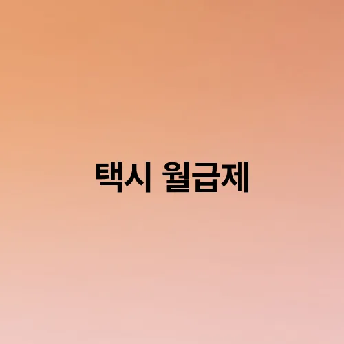 택시 월급제