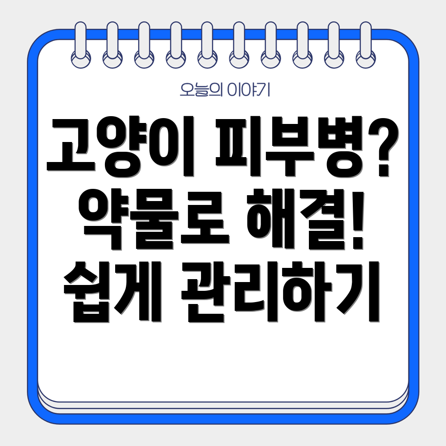 고양이 피부병 치료