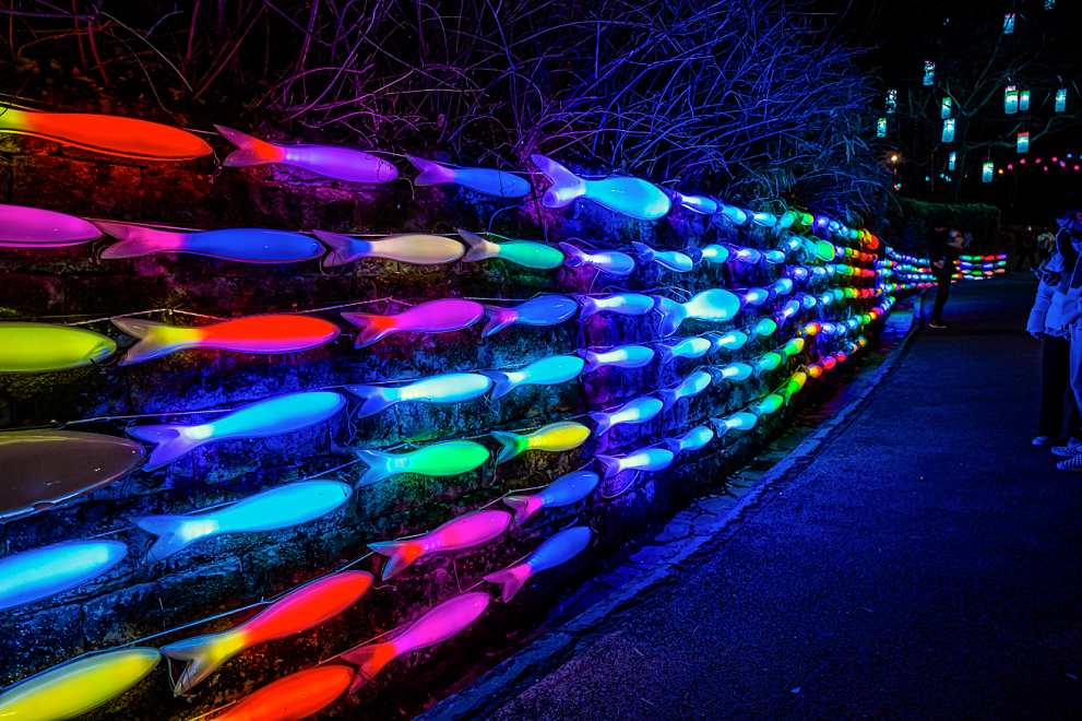 진주 남강 유등축제 기본정보