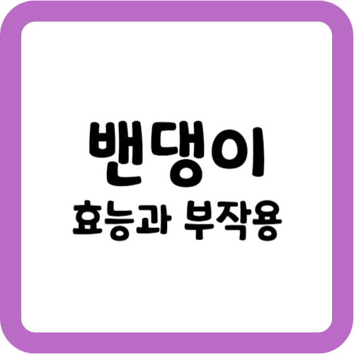 밴댕이의 효능과 부작용
