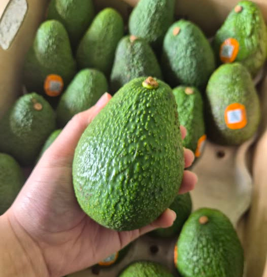 아보카도 효능 건강효과 먹는 법 고르는 법