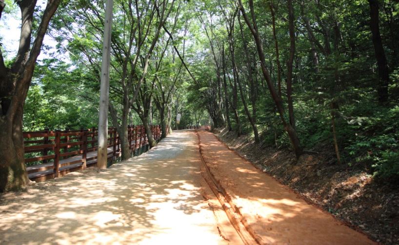 대전 가볼만한곳 베스트10