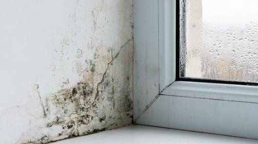 방이 습하면 곰팡이 발생은 필연적임