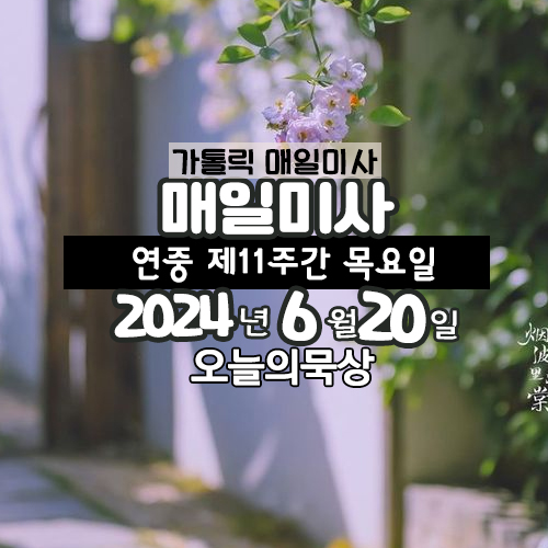 2024년 6월 20일 매일미사 연중 제11주간 목요일 오늘의 묵상