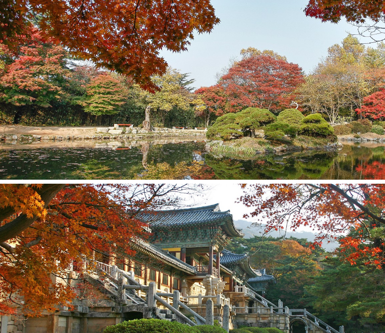 수능 끝나고 혼자 여행 가기 좋은 곳 추천 BEST 5 (국내 vs 해외 뚜벅이 총정리)