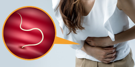 사람에게 회충이 기생한다.