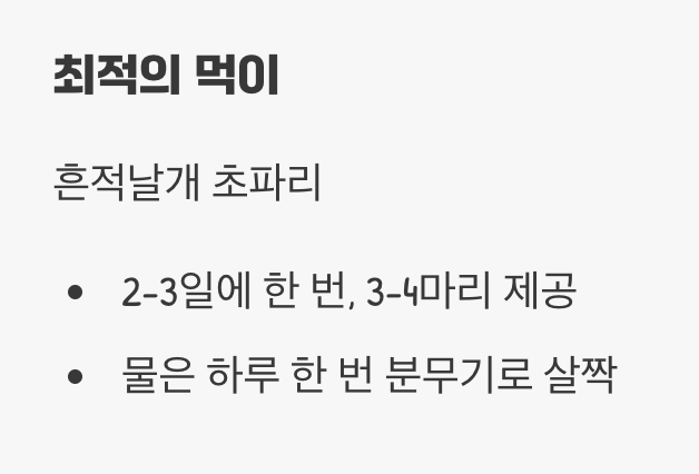 세상에서 가장 작은 사냥감 준비하기