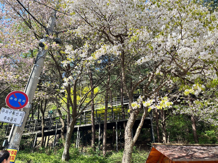 안산 등산로 입구 2