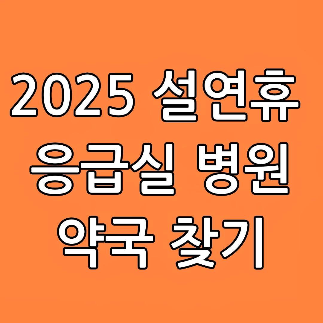 2025 설 연휴 응급실, 병원, 약국 찾기