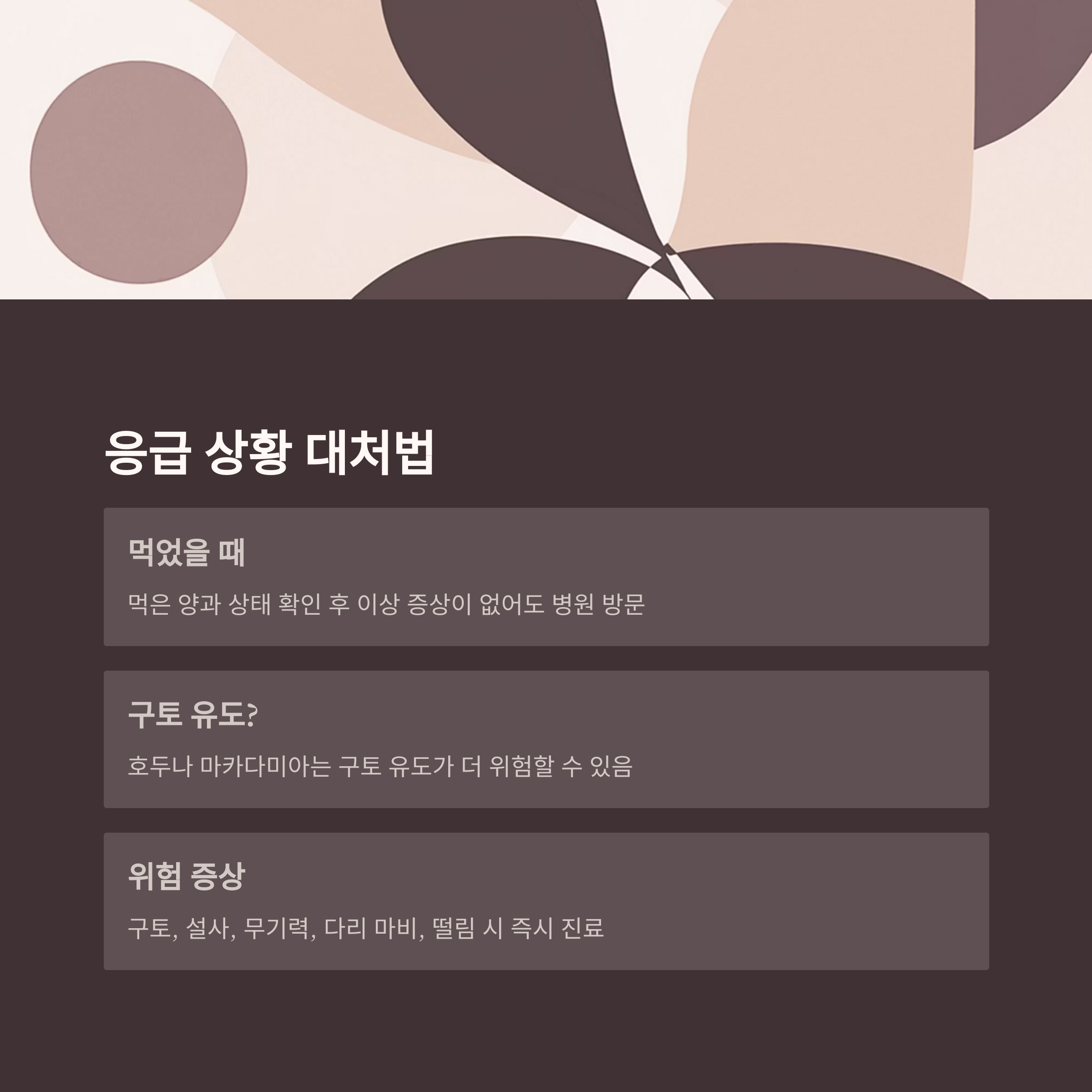 응급 상황 대처법