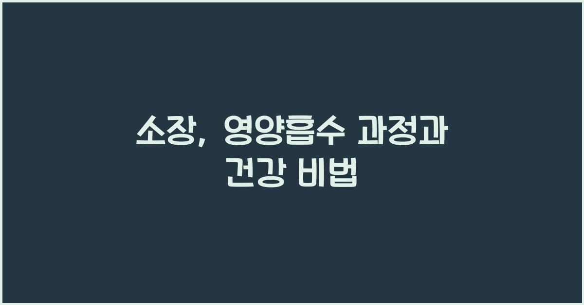 소장, 영양흡수 과정