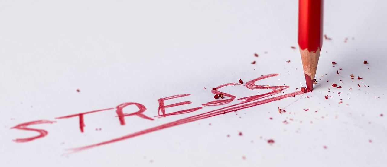 스트레스 해소 정신건강 관리법