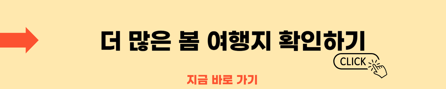2025 태안 튤립축제 언제 열릴까? 티켓·주차·꿀팁 총정리!
2025 태안 튤립축제 언제 열릴까? 티켓·주차·꿀팁 총정리!
매년 봄, 태안은 형형색색의 튤립으로 물들어집니다. 2025년에도 어김없이 찾아오는 태안 세계튤립꽃박람회는 꽃을 사랑하는 이들에게 잊지 못할 추억을 선사합니다. 이번 포스팅에서는 박람회의 일정, 입장료, 위치, 주요 프로그램 등을 상세히 안내해 드리겠습니다.
2025 태안 튤립축제 언제 열릴까? 티켓·주차·꿀팁 총정리!
📅 행사 개요
기간: 2025년 4월 8일(화) ~ 5월 6일(화)
장소: 충청남도 태안군 안면읍 꽃지해안로 400 코리아플라워파크
입장료:
성인: 14,000원
경로 및 단체: 12,000원
유아 및 청소년: 11,000원
※ 단체는 20인 이상부터 적용됩니다.
태안 세계튤립꽃박람회 전경
형형색색의 튤립이 펼쳐진 태안 세계튤립꽃박람회 전경
🗺️ 위치 및 주차 안내
코리아플라워파크는 충남 태안군 안면읍 꽃지해안로 400에 위치해 있습니다.
자가용 이용 시 네비게이션에 '코리아플라워파크'를 입력하시면 편리하게 찾아오실 수 있습니다.
주차장 안내:
위치: 행사장 입구 좌측과 우측에 대형 주차장이 마련되어 있습니다.
요금: 무료
수용 대수: 약 1,000대
※ 주말 및 공휴일에는 방문객이 많아 주차장이 혼잡할 수 있으니, 가급적 대중교통 이용을 권장드립니다.
2025 태안 튤립축제 언제 열릴까? 티켓·주차·꿀팁 총정리!
🎨 주요 프로그램 및 볼거리
1. 테마별 튤립 전시
박람회장 내에는 다양한 테마로 꾸며진 튤립 정원이 조성되어 있습니다. 각 테마존마다 색다른 분위기의 꽃밭을 감상하실 수 있습니다.
2. 야간 조명쇼
일몰 후에는 화려한 조명으로 빛나는 튤립 정원을 감상하실 수 있습니다. 낮과는 또 다른 매력을 느껴보세요.
야간 조명으로 빛나는 튤립 정원 모습
3. 포토존
곳곳에 마련된 포토존에서 인생 샷을 남겨보세요. 대형 꽃 조형물, 유럽풍 풍차, 벤치 등이 설치되어 있어 다양한 연출이 가능합니다.
🛠️ 편의시설
1. 주차장
넓은 주차 공간이 마련되어 있으며, 주차 요금은 무료입니다.
2. 식음료 코너 🍜
지역 특산물을 활용한 다양한 먹거리를 즐길 수 있는 푸드코트와 스낵 부스가 곳곳에 마련되어 있습니다. 게국지, 바지락 칼국수, 해물파전 등 태안만의 맛있는 향토 음식부터 간편한 커피와 디저트까지 모두 즐길 수 있어요.
또한 휴식 공간이 마련된 카페형 쉼터도 운영 중이며, 대부분의 매장에서 카드 결제 및 간편결제가 가능합니다.
3. 기념품 숍 🎁
튤립을 모티브로 한 향초, 미니 화분, 머그컵 등 다양한 굿즈와 플라워 제품을 구매할 수 있는 기념품 존도 운영됩니다. 소중한 사람에게 줄 선물이나 추억을 간직할 아이템으로 제격입니다.
2025 태안 튤립축제 언제 열릴까? 티켓·주차·꿀팁 총정리!
🚌 교통편 안내
자가용 이용 시: 서해안고속도로 → 서산IC 또는 태안IC → 안면도 꽃지해변 방향으로 이동.
대중교통 이용 시: 서울 센트럴시티 또는 남부터미널 → 태안 버스터미널 → 안면도 방면 시내버스 탑승 → 꽃지정류장 하차 후 도보 약 10분.
💡 방문 꿀팁 & 유의사항
🌤️ 오전 9~11시 방문 시 가장 여유롭게 관람 가능
📸 포토존은 해질 무렵 황금 시간대에 최고!
🐶 반려동물 동반은 제한되므로 사전 확인 필요
♻️ 쓰레기 분리수거 철저히, 자연 보호 함께해요
🔚 마무리하며 🌷
2025년 태안 세계튤립꽃박람회는 자연, 꽃, 예술, 감성이 어우러진 대한민국 대표 봄 축제입니다.
가족과 함께하는 나들이, 연인과의 감성 여행, 친구들과의 인증샷 여행까지! 누구와 와도 행복한 시간이 될 거예요 😊
이번 봄엔 태안에서 색다른 봄을 맞이해보는 건 어떨까요?
다음 포스팅에서는 '전국 봄꽃축제 BEST 5'도 소개해드릴게요. 기대해 주세요!