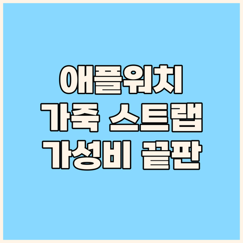 가성비 끝판왕! GSB 애플워치 호환