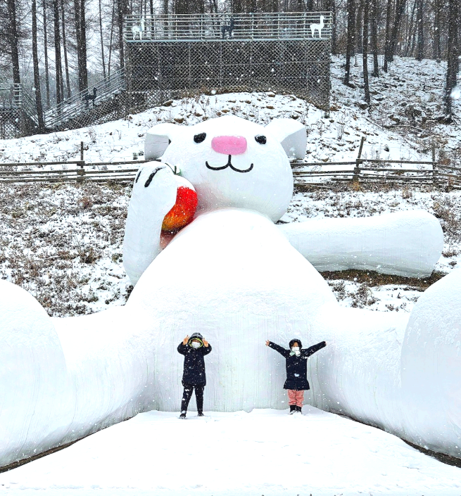 홍천 알파카 월드