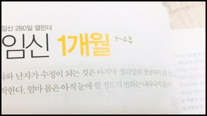 임신 극초기증상