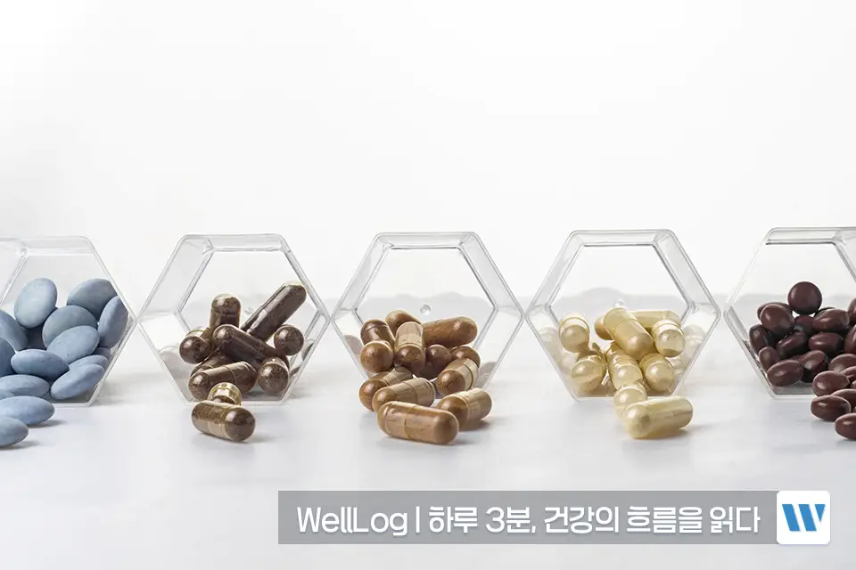 포스파티딜세린 추천 영양제