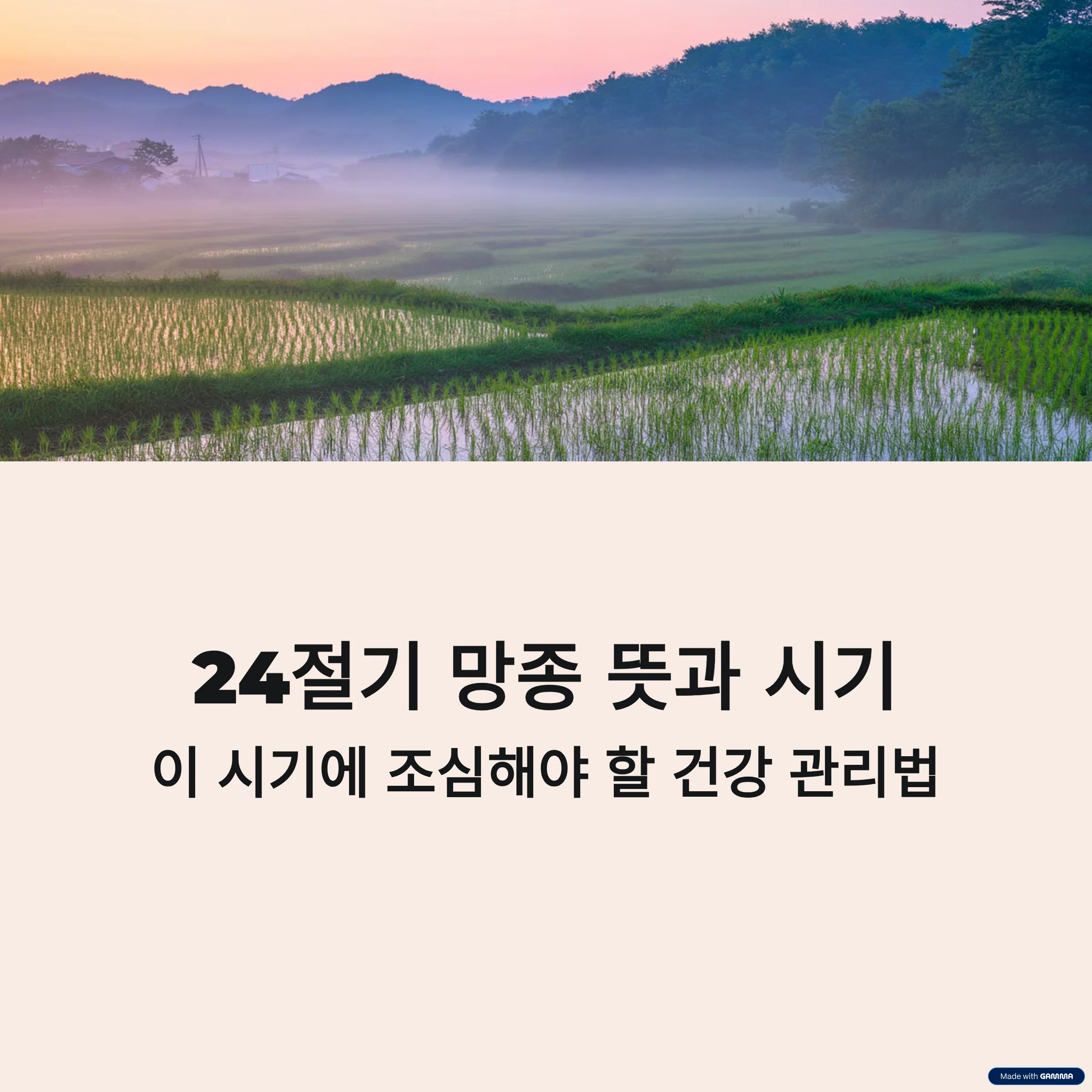 24절기-망종-뜻과-시기