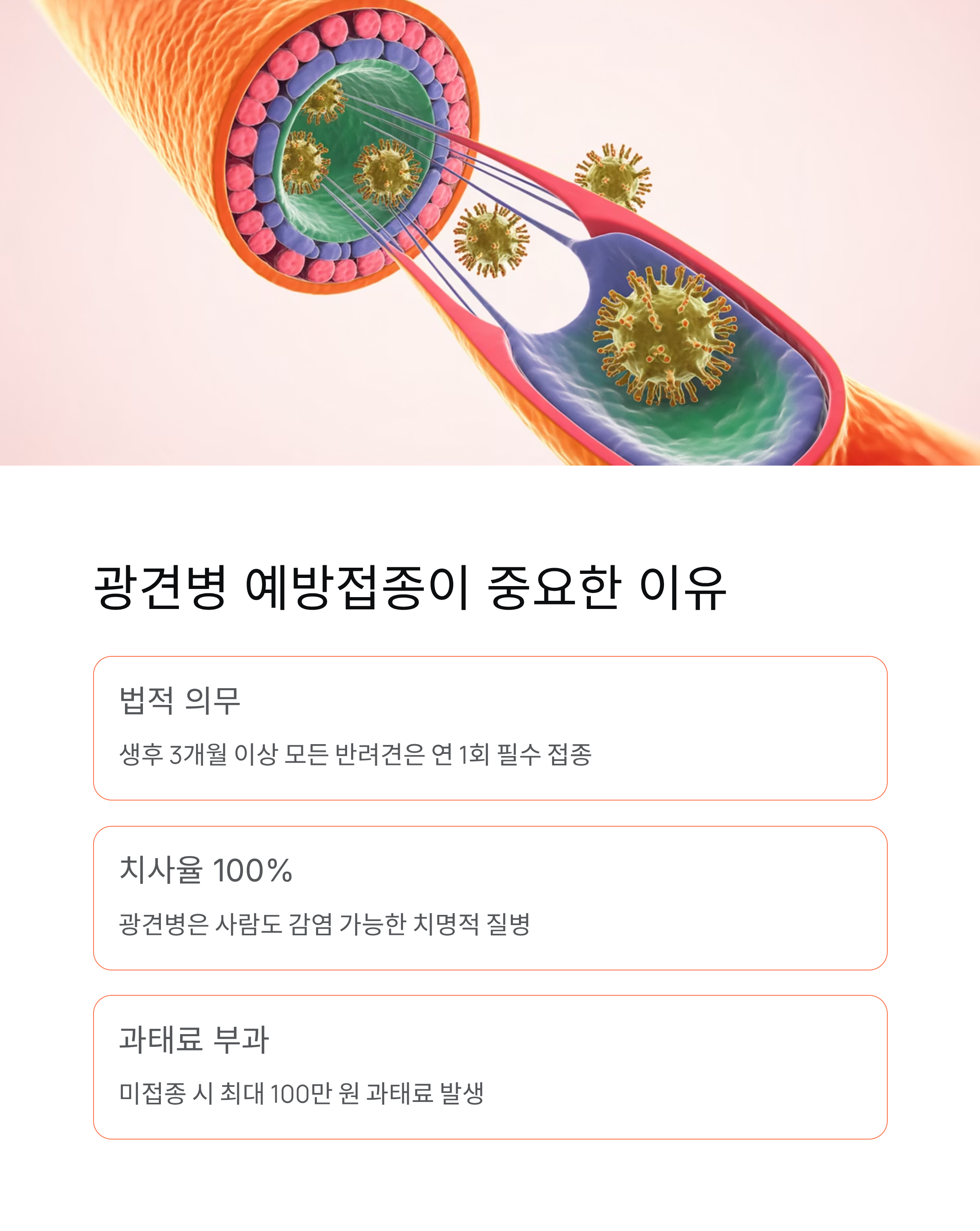 광견병 예방접종 무료 2026일정 총정리! 반려견 무료 접종 신청 방법