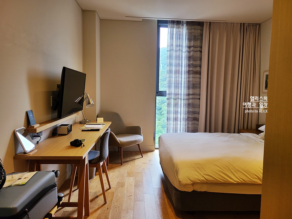 라까사호텔 광명 스탠다드 더블룸 후기, 가성비 좋은 아늑한 호텔, 숲뷰