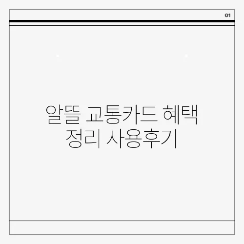 알뜰 교통카드 혜택 정리 사용후기