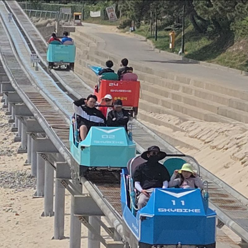 보령 가볼만한곳 베스트10 대천해수욕장 스카이바이크