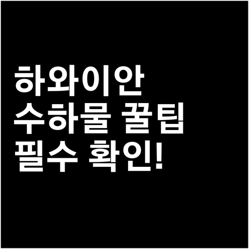 하와이안 항공 위탁수하물 규정과 요금..