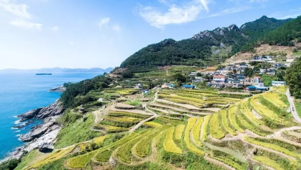 남해 사진