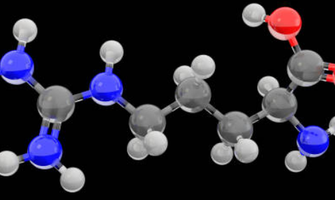 아르기닌 부작용, 아르기닌의 효능, 복용법 총정리 (2024ver)